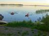 Holiday Home Tuomarniemi