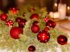 House Olive Grove