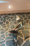 Motel Ward Hotel