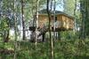 House On The Tree