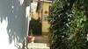 Guest House On Griboyedova 3