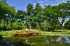 Amrita Green Retreat