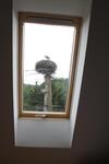 Hostal Paulay Borh�z �s Vend�gh�z