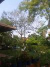 Barud Gedera Israel
