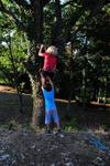 Agroturismo Borgo Cerquelle