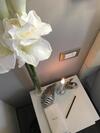 Apartamento Tuscany House Of Artist