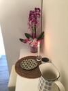 Apartamento Tuscany House Of Artist