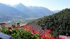 Bed & Breakfast I Camuni