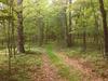 Tentrr - Whippoorwill Woods