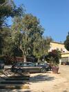 Hotel H�tel Les Mimosas