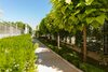Romance Splendid Spa Hotel