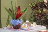 Bed & Breakfast Ruta Verde House