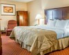 Hotel Clarion Inn & Suites Airport