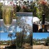 Cabana Jarrah Grove Forest Retreat - Adults Only