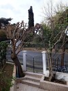 Pension Orhan Kutbay'in Evi Turyolu Cafe Pansiyon