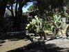 Bed & Breakfast Villa Saracina