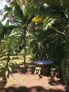 El Jardin De Playa Negra