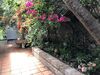 Rentcostadelsol Villa Pinares