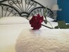 Bed & Breakfast Buonfiglio Cicconcelli