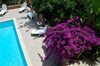 Agroturismo Agriturismo Saccollino