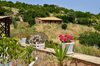 Agroturismo Agriturismo Saccollino