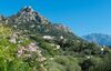 Domaine Paradisu - Villa La Palmeraie