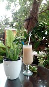 Hotel Dinesh Homestay