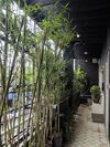 Hostal The Secret Garden