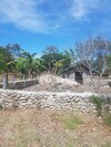 Wonderfarm Villa