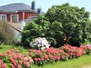 Apartamentos Jes?s For 4 People