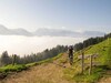 Pension Haus Wildbach