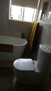 Silverbirch Cottage Loch