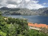 Sarenagomila