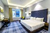 Hotel Piccadily Raipur