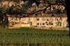 Domaine de Saint Obre