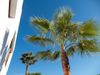 Villa Ses Vistes