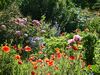 Bed & Breakfast Il Melograno