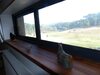 B&B Angueur