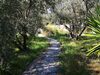 Agroturismo Cortijo El Nuevo Olivo
