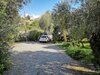 Agroturismo Cortijo El Nuevo Olivo