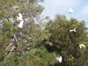 Gilligan's Kangaroo Island