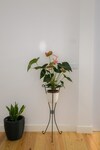 Beato Premium Charming Apartment