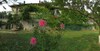 Bed & Breakfast Oca Carolina