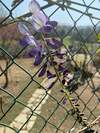 Bed & Breakfast Oca Carolina
