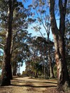 Kalimna Woods Cottages