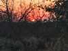 Thula Private Lodge