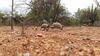 Thula Private Lodge