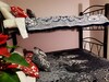 Bed & Breakfast Alameda House