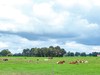 Charming Farmhouse In Haaksbergen Near Town Center