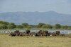 Hotel Lake Manyara Serena Safari